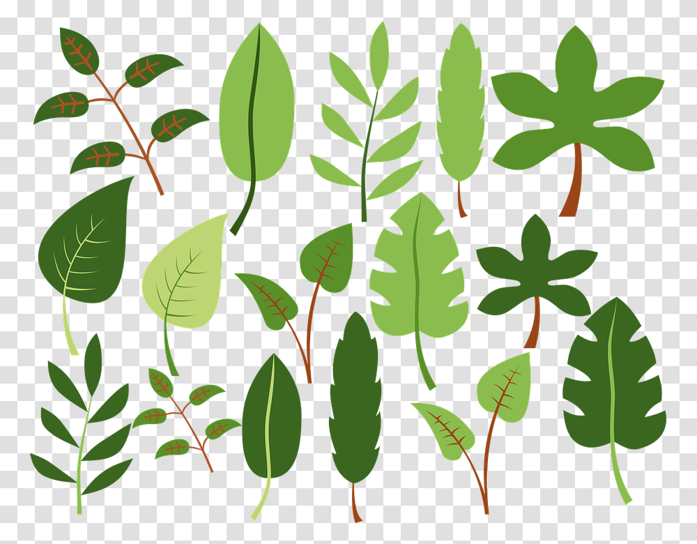 Clip Art, Leaf, Plant, Green, Pattern Transparent Png