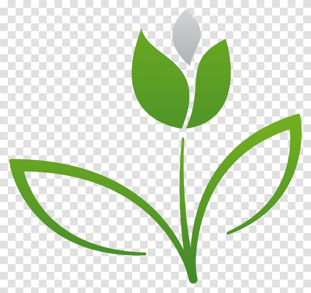 Clip Art, Leaf, Plant, Green Transparent Png