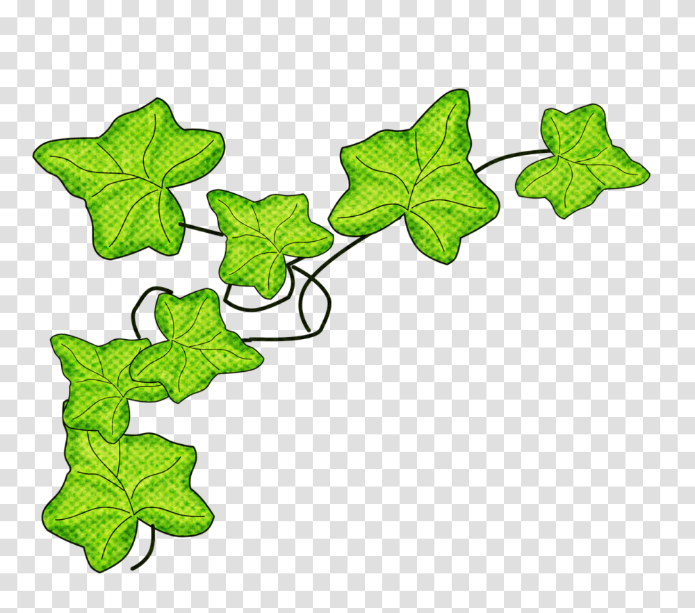 Clip Art, Leaf, Plant, Green, Veins Transparent Png