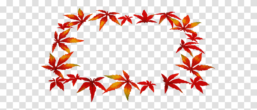 Clip Art, Leaf, Plant, Maple Leaf, Tree Transparent Png