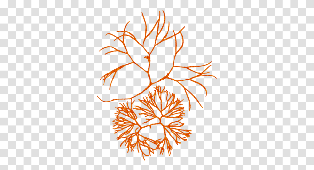 Clip Art, Leaf, Plant, Rug, Pattern Transparent Png
