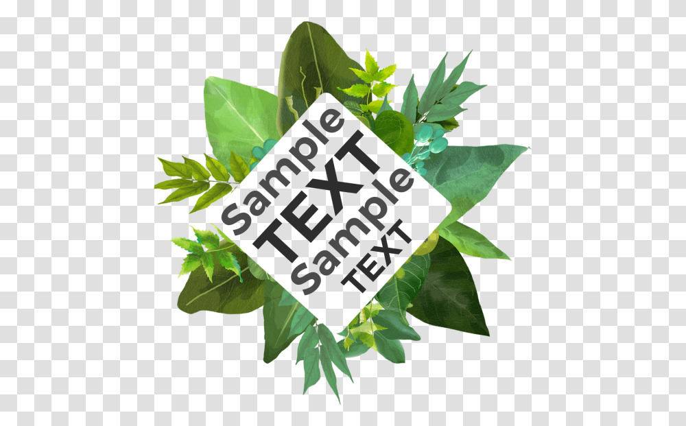 Clip Art, Leaf, Plant, Vegetation, Green Transparent Png