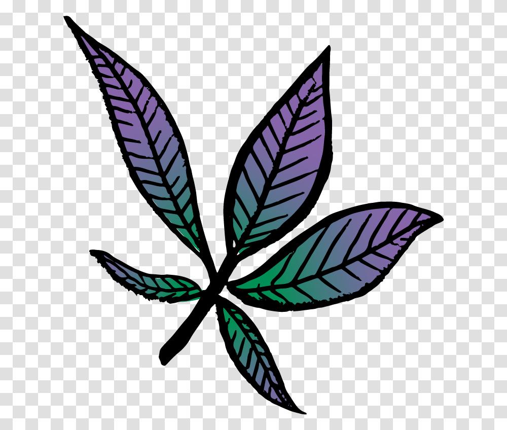 Clip Art, Leaf, Plant, Veins, Weed Transparent Png