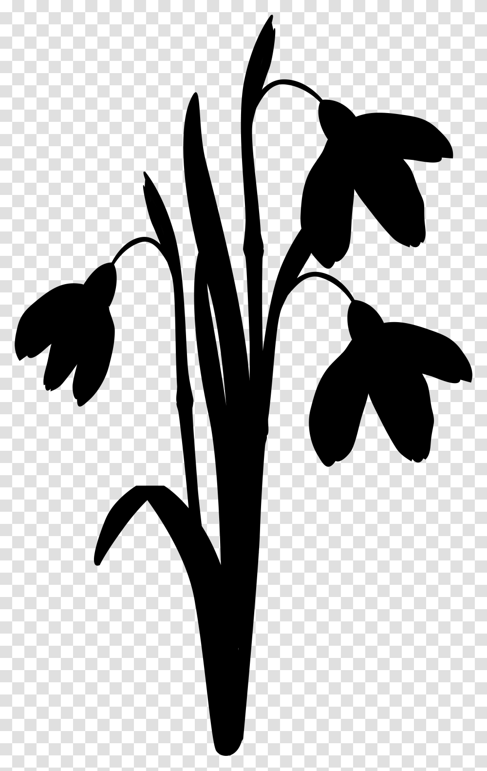 Clip Art Leaf Silhouette Line Plant Stem Illustration, Gray, World Of Warcraft Transparent Png