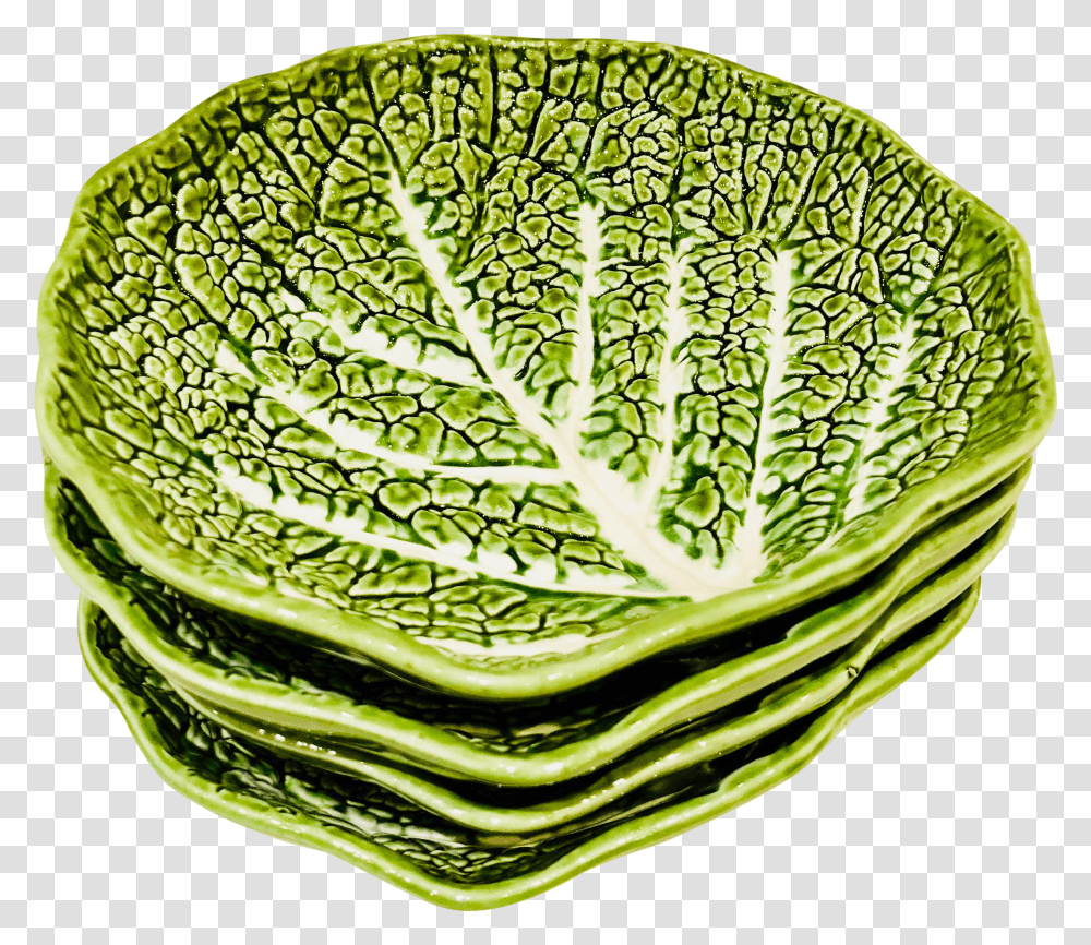 Clip Art Lettuce Leaf Plates Cruciferous Vegetables Transparent Png