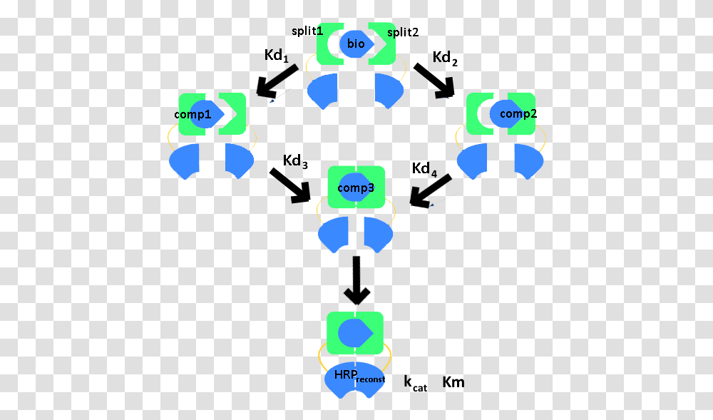 Clip Art, Light, Network, Electronics Transparent Png