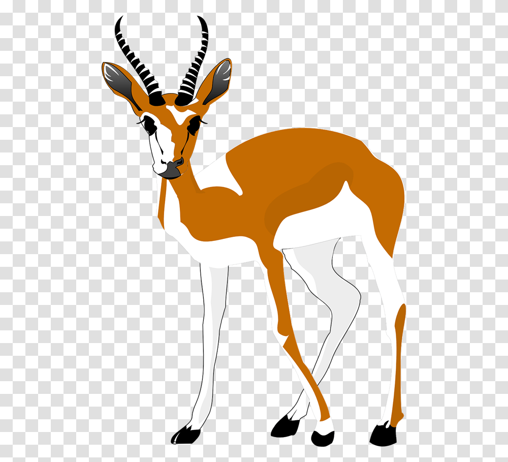 Clip Art Llama, Antelope, Wildlife, Mammal, Animal Transparent Png