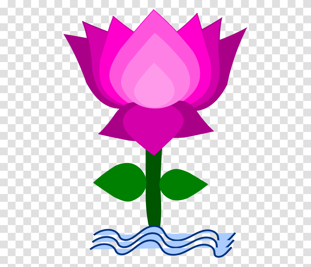 Clip Art Lotus Flower Free, Plant, Blossom, Petal, Rose Transparent Png