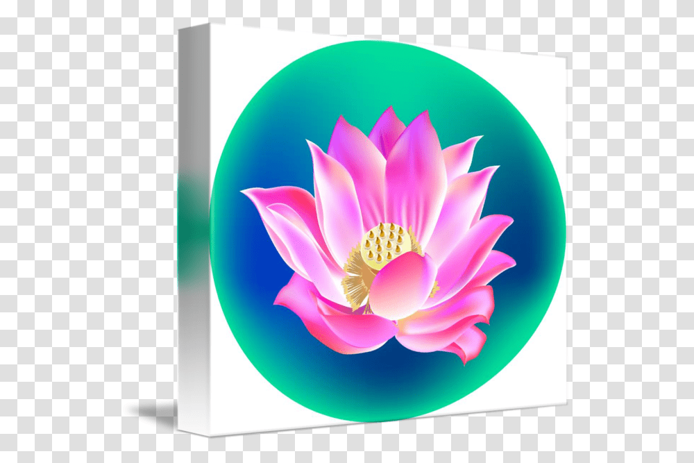 Clip Art Lotus Flower Pictures Lotus Flower Clip Art, Plant, Blossom, Pond Lily Transparent Png