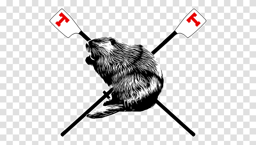 Clip Art, Mammal, Animal, Beaver, Wildlife Transparent Png