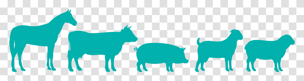 Clip Art, Mammal, Animal, Pig, Bison Transparent Png
