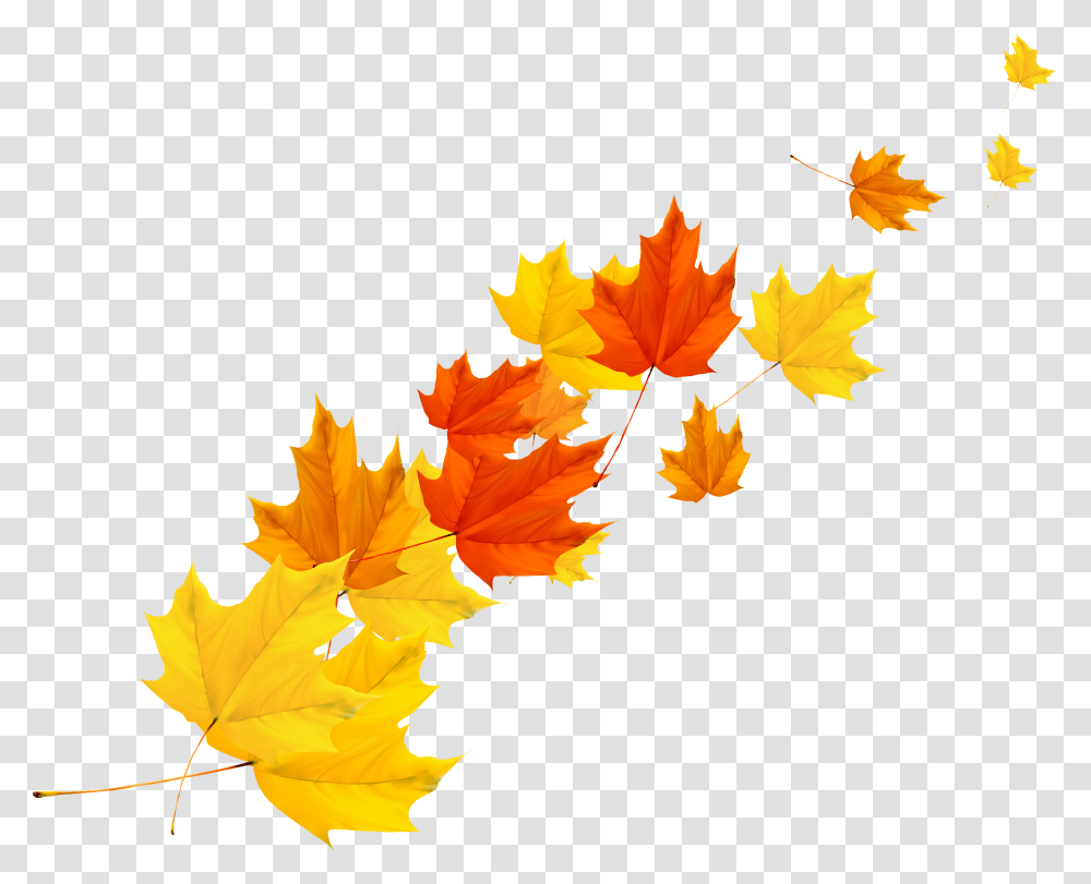 Clip Art Maple Autumn Transprent Vector Autumn Leaves, Leaf, Plant, Tree, Maple Leaf Transparent Png