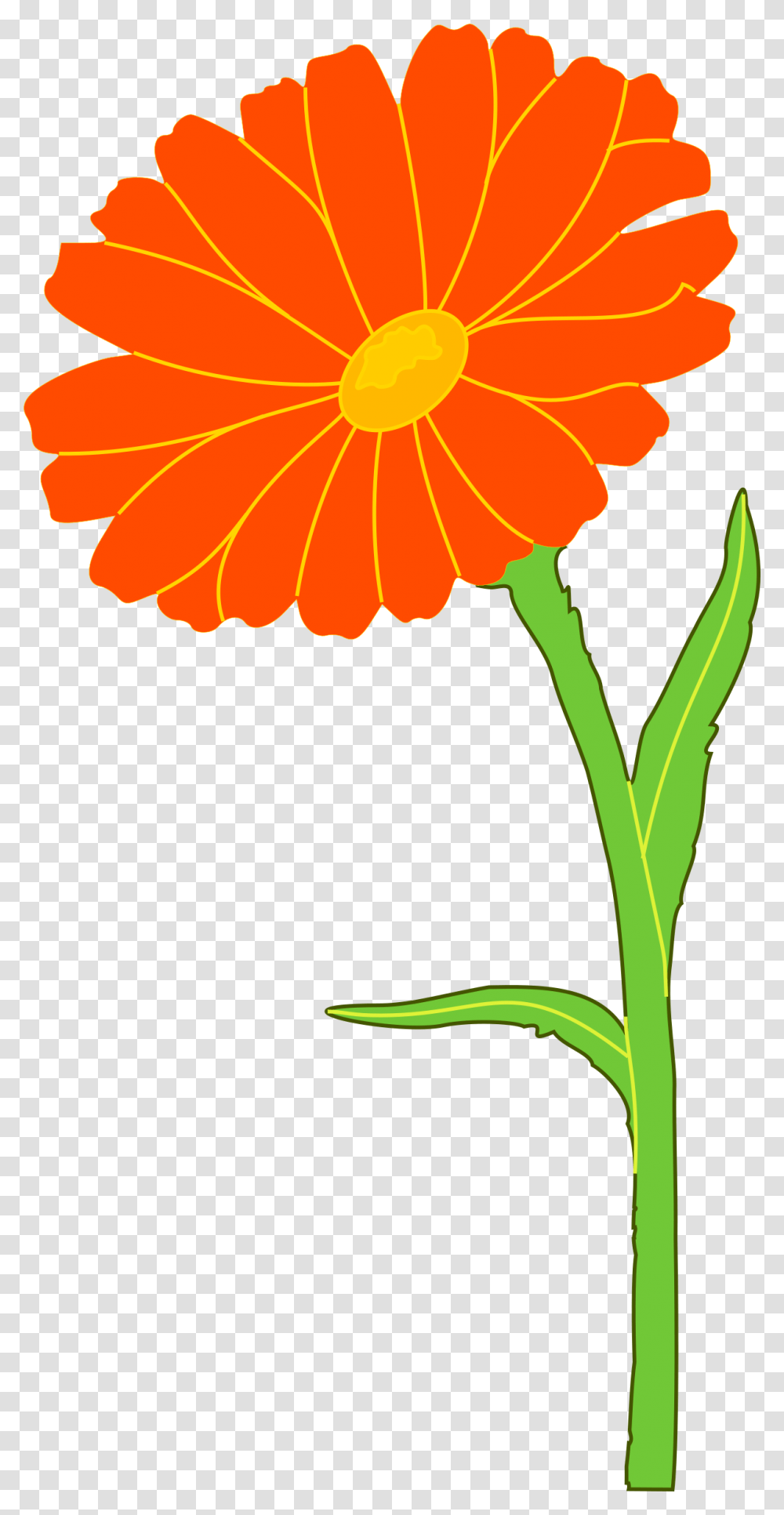 Clip Art Marigold Clip Art Marigold Clipart, Plant, Petal, Flower, Blossom Transparent Png