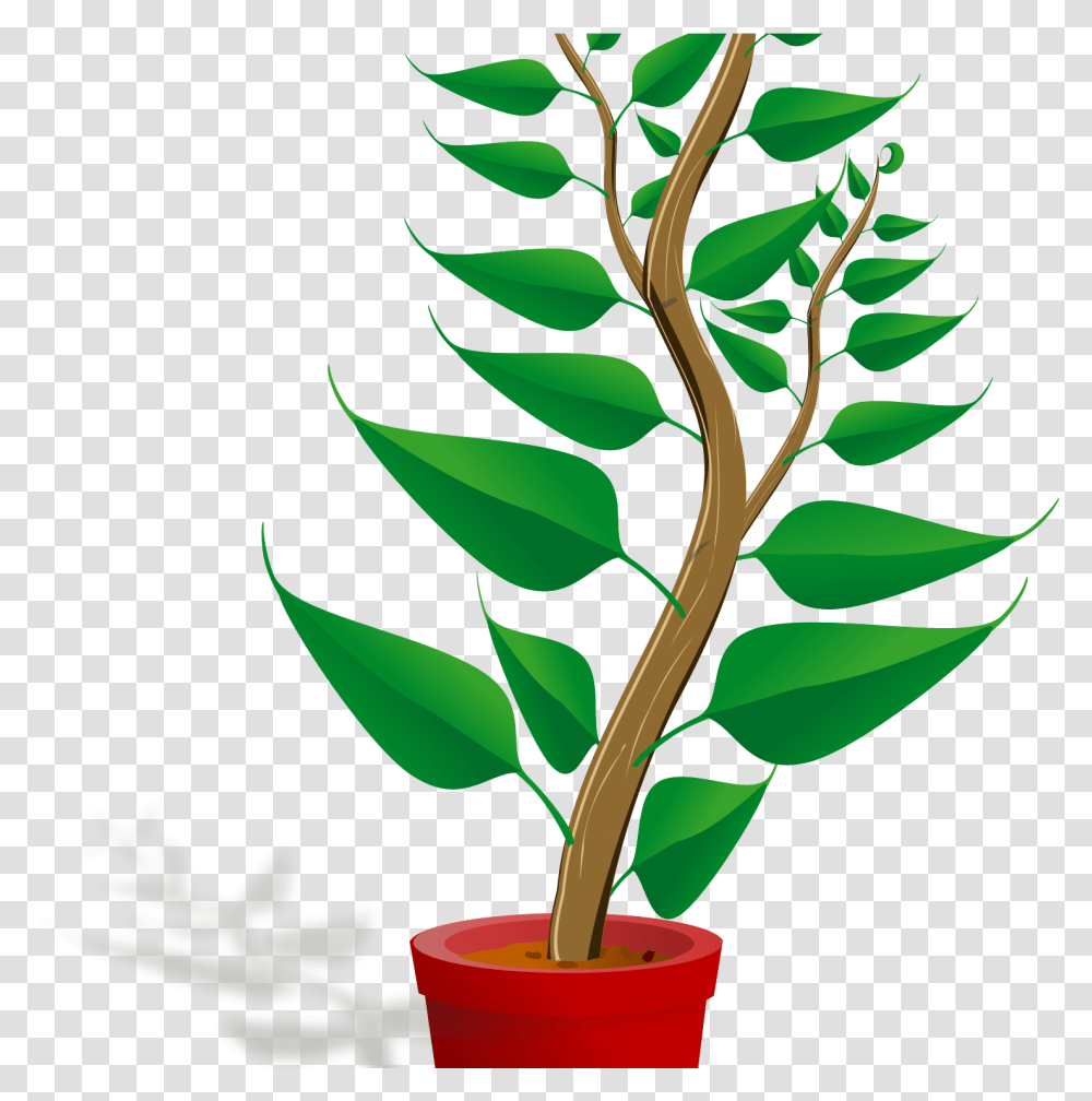 Clip Art Mehmetcetinsozler Com Popular Categories Love Plant Clipart, Leaf, Tree, Green, Flower Transparent Png