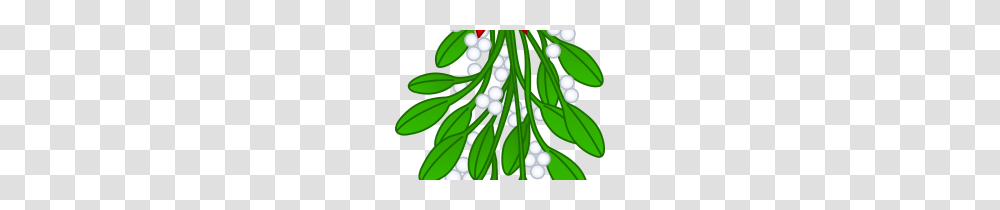 Clip Art Mistletoe Clip Art, Plant, Tree, Flower, Blossom Transparent Png