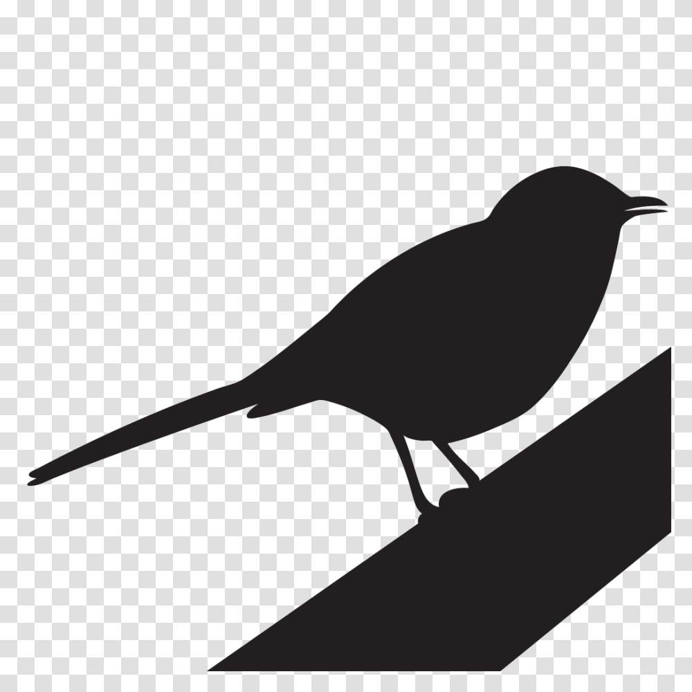 Clip Art Mocking Bird Winging, Silhouette, Blackbird, Animal, Agelaius Transparent Png