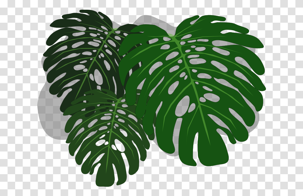 Clip Art Monstera Wallpaper Background Philodendron Leaves, Leaf, Plant, Green, Vegetation Transparent Png