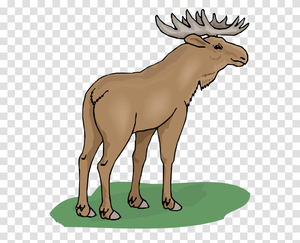 Clip Art Moose, Mammal, Animal, Wildlife, Horse Transparent Png