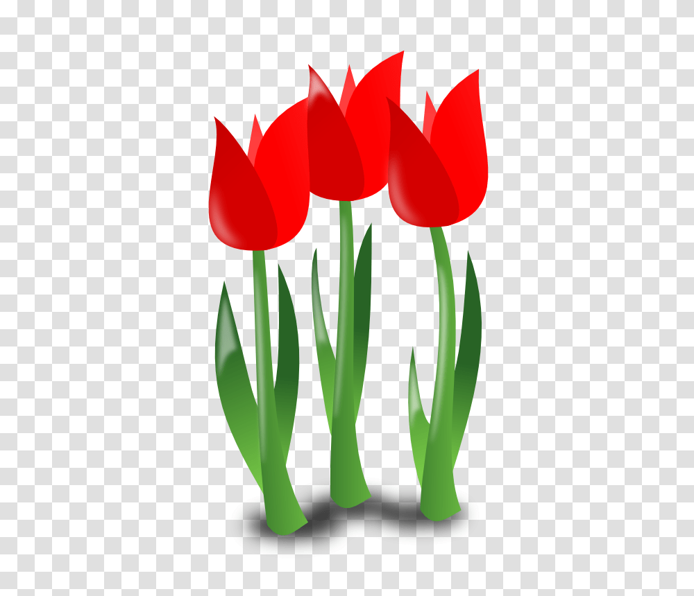 Clip Art Mothers Day Cliparts, Plant, Tulip, Flower, Blossom Transparent Png
