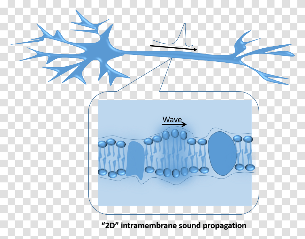 Clip Art, Nature, Outdoors, Ice, Antler Transparent Png