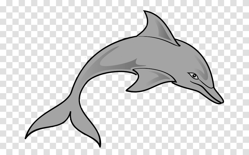 Clip Art Of A Dolphin, Sea Life, Animal, Mammal, Fish Transparent Png