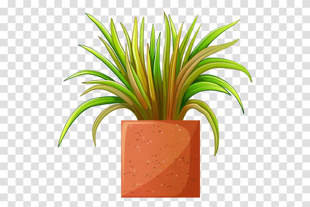 Clip Art Of Beautiful Plants For The Spring Garden Plant, Palm Tree, Root, Vegetation, Paper Transparent Png