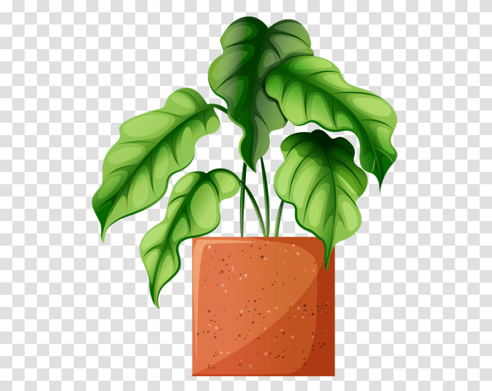 Clip Art Of Beautiful Plants For The Spring Garden Plant, Vegetable, Food, Painting, Leaf Transparent Png