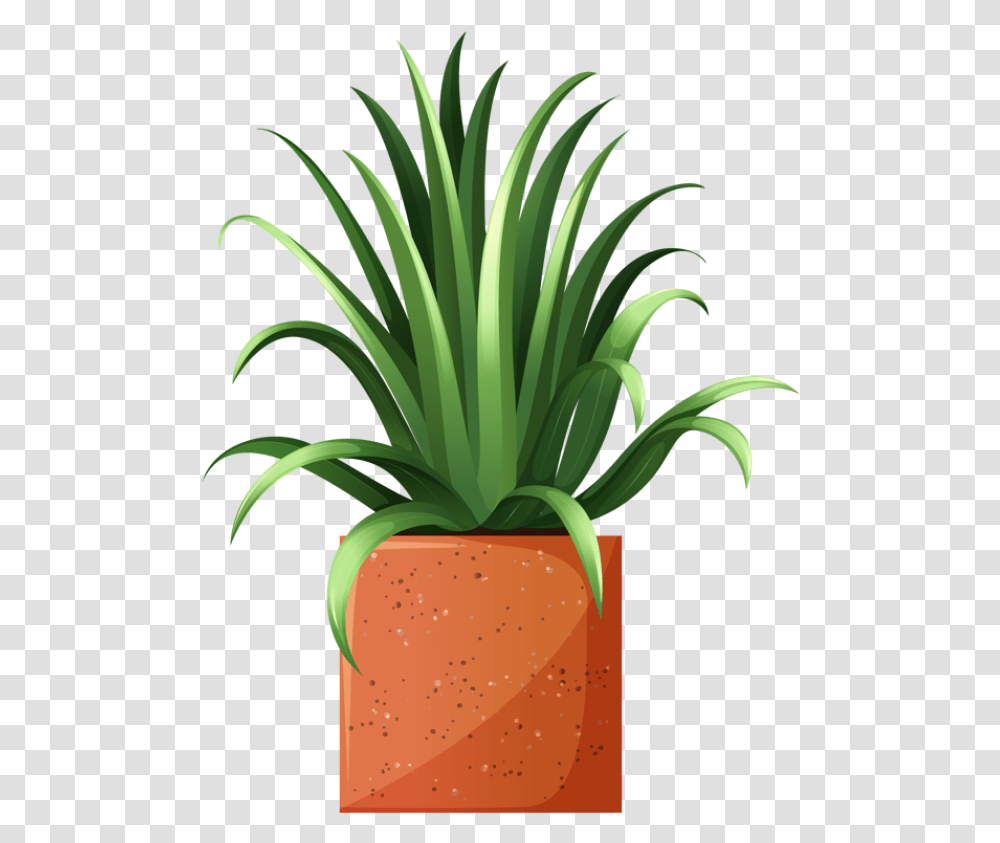 Clip Art Of Beautiful Plants For The Spring Garden Potted Plant Clip Art, Pineapple, Fruit, Food, Flower Transparent Png