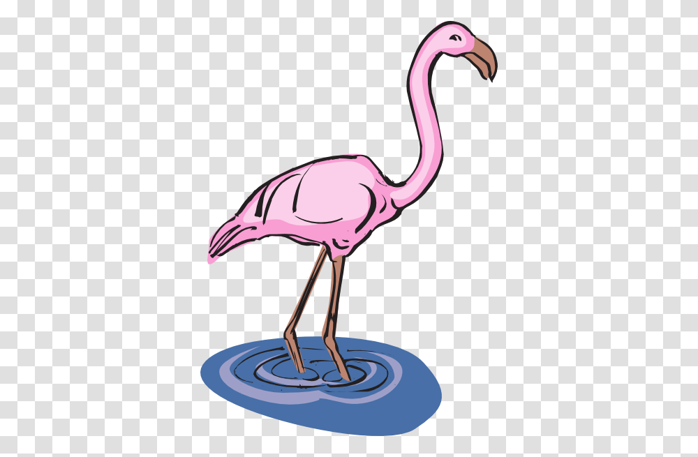 Clip Art Of Bird Drinking Nectar, Flamingo, Animal, Beak, Antelope Transparent Png