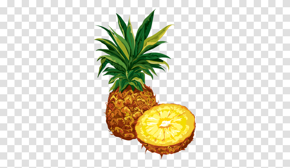 Clip Art Of Citrus Fruit Pineapple Education, Plant, Food Transparent Png