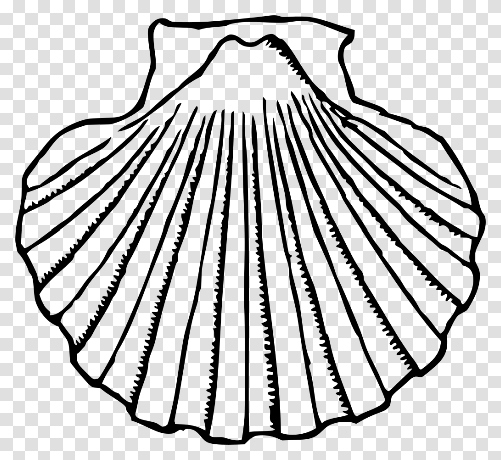 Clip Art Of Clams Scallop Black And White, Gray, World Of Warcraft Transparent Png