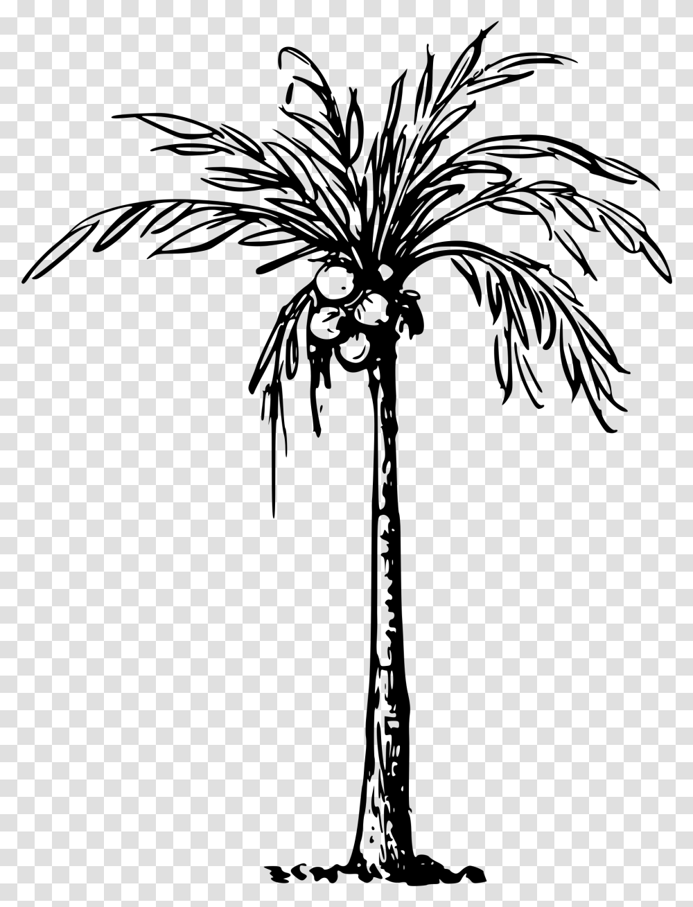 Clip Art Of Coconut Tree, Gray, World Of Warcraft Transparent Png