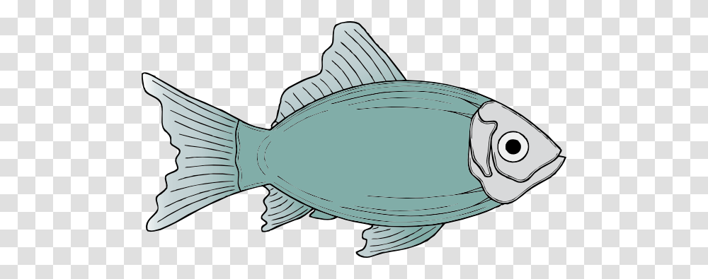 Clip Art Of Fish, Tuna, Sea Life, Animal, Bonito Transparent Png