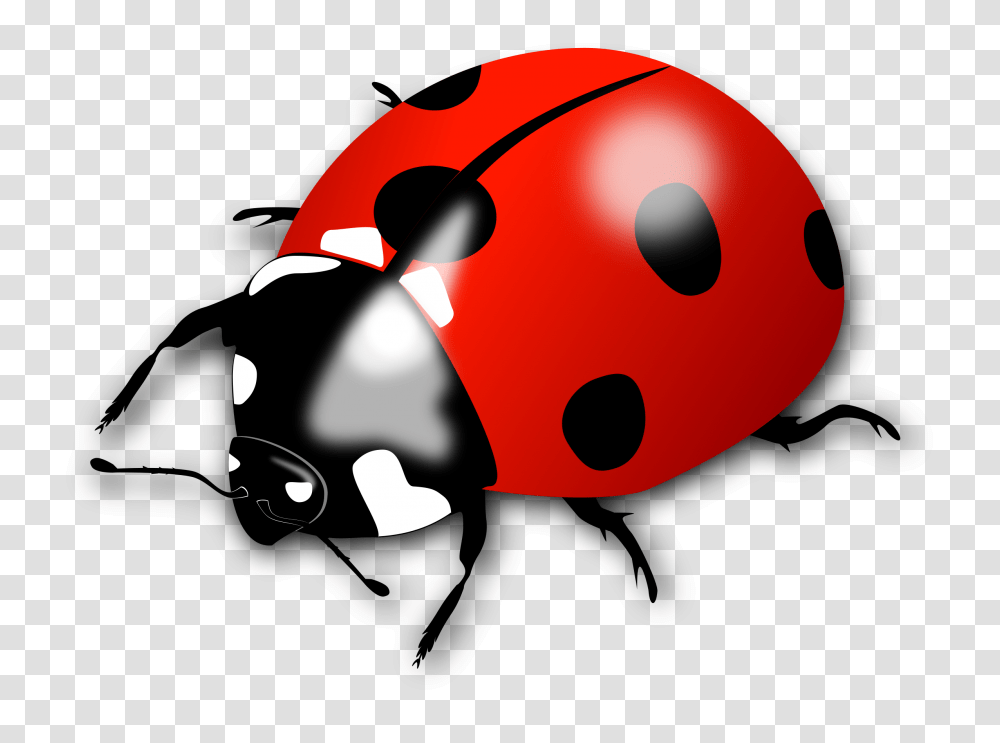 Clip Art Of Lady Bird, Piggy Bank, Mask, Face Transparent Png