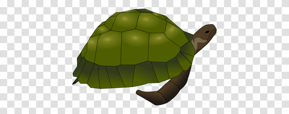 Clip Art Of Large Old Turtle In Green And Brown, Soccer Ball, Football, Team Sport, Sports Transparent Png