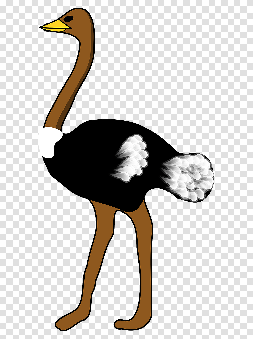 Clip Art Of Ostrich, Bird, Animal, Stork Transparent Png