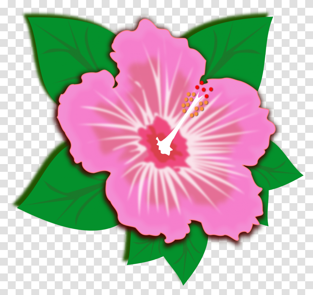 Clip Art Of Pink Spring Flower Free Image Pink Spring Flower Clipart, Hibiscus, Plant, Blossom, Rose Transparent Png