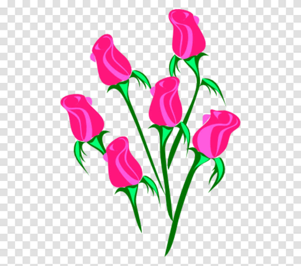 Clip Art Of Roses, Plant, Flower, Blossom, Petal Transparent Png