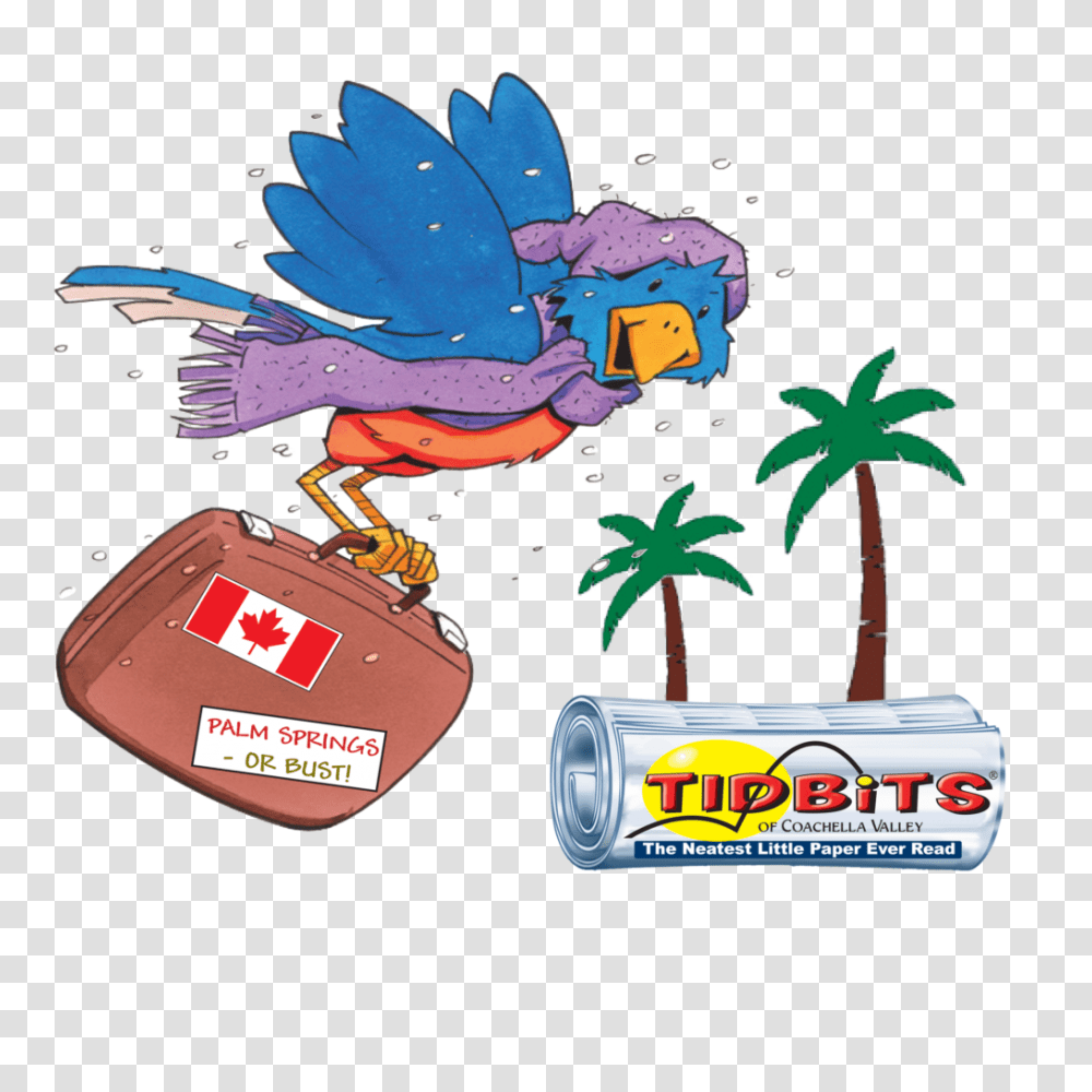 Clip Art Of Snow Bird, Gum, Outdoors, Logo Transparent Png