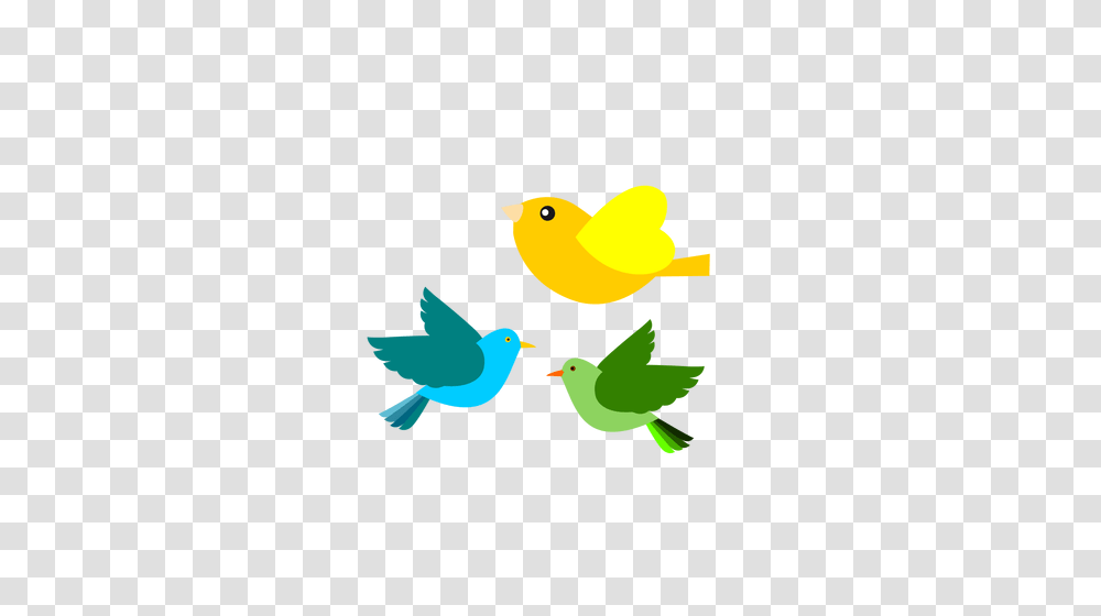 Clip Art Of Three Different Flying Birds, Animal, Canary, Finch Transparent Png