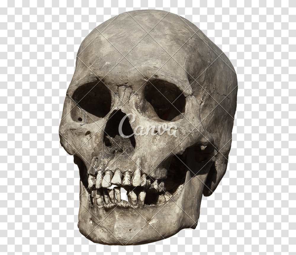 Clip Art Old Weathered Photos By Old Human Skull, Head, Alien, Teeth, Mouth Transparent Png