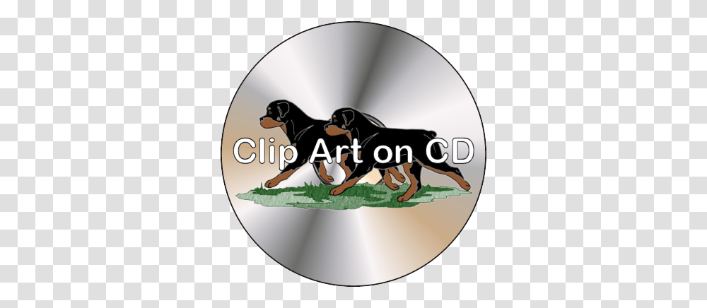 Clip Art On Cd, Disk, Dvd, Mammal, Animal Transparent Png