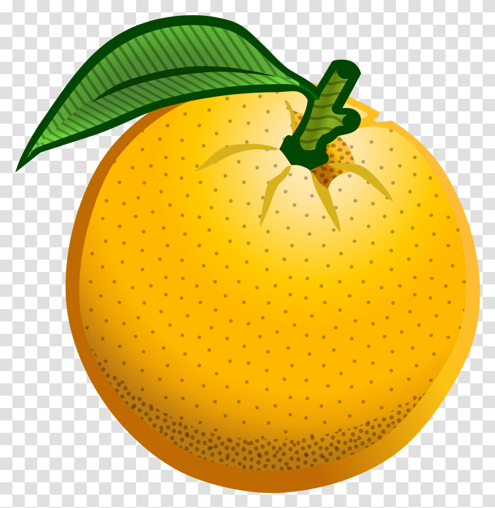 Clip Art Orange With Images Medium Size Orange Colored Clip Art, Plant, Citrus Fruit, Food, Grapefruit Transparent Png