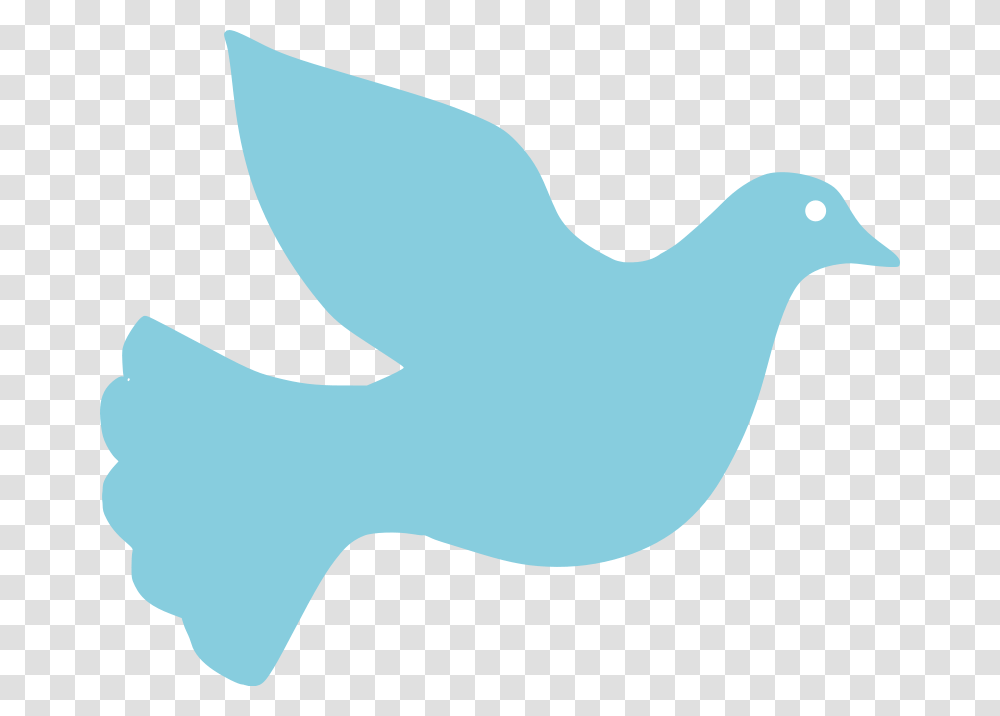 Clip Art Peace Dove, Animal, Bird, Seagull, Pigeon Transparent Png