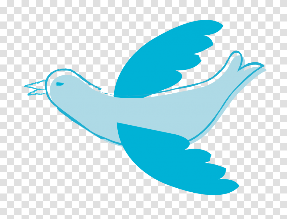 Clip Art Peace Dove, Animal, Sea Life, Bird, Seagull Transparent Png