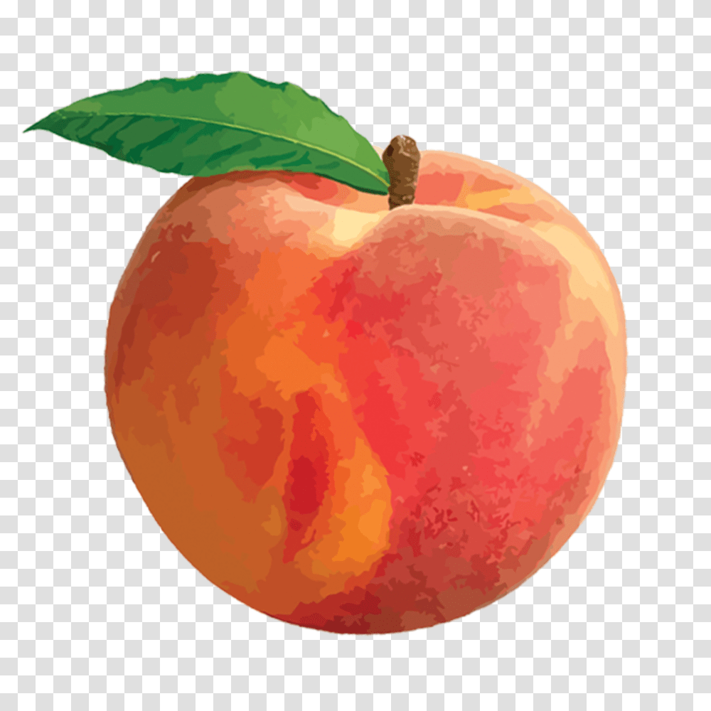 Clip Art Peach, Plant, Fruit, Food, Rug Transparent Png