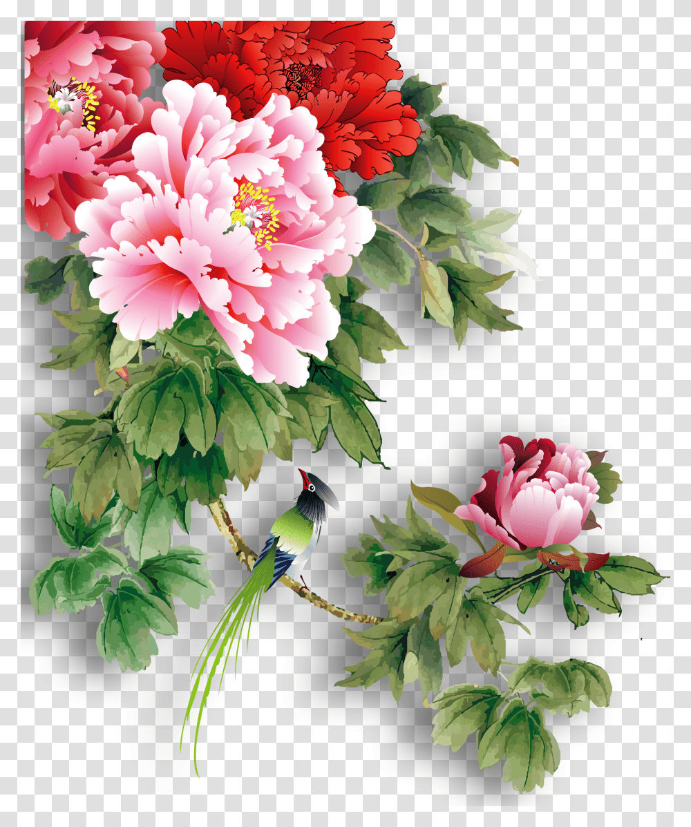 Clip Art Peony Flowers Images Chinese Peony Flower Transparent Png