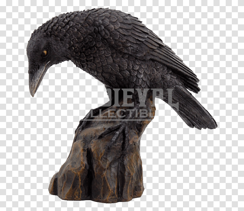 Clip Art Perched Raven Raven Sculpture, Bird, Animal, Waterfowl, Cormorant Transparent Png