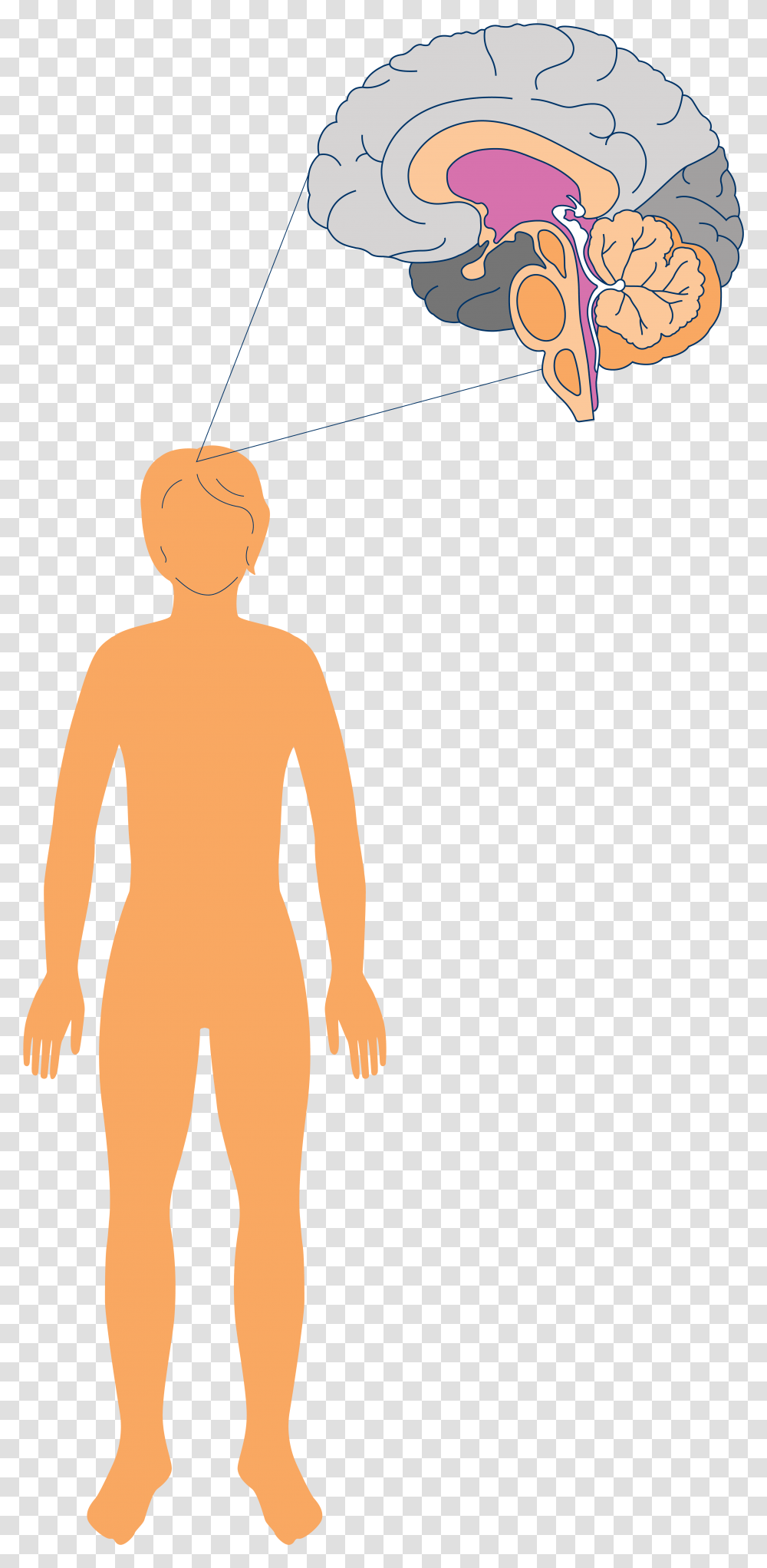 Clip Art, Person, Shorts, Standing Transparent Png