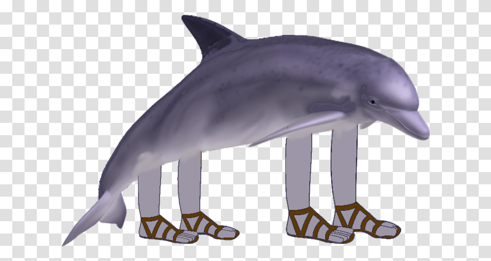 Clip Art Pet Dolphins Dolphin With Arms And Legs, Animal, Mammal, Sea Life Transparent Png